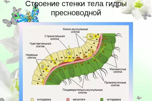 Даркнет мориарти мега сайт